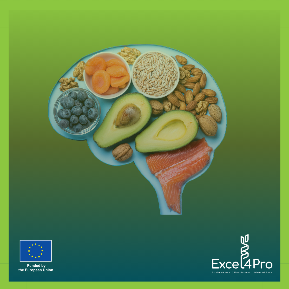 Feeding the mind: Could plant-based proteins be the key to mental balance?