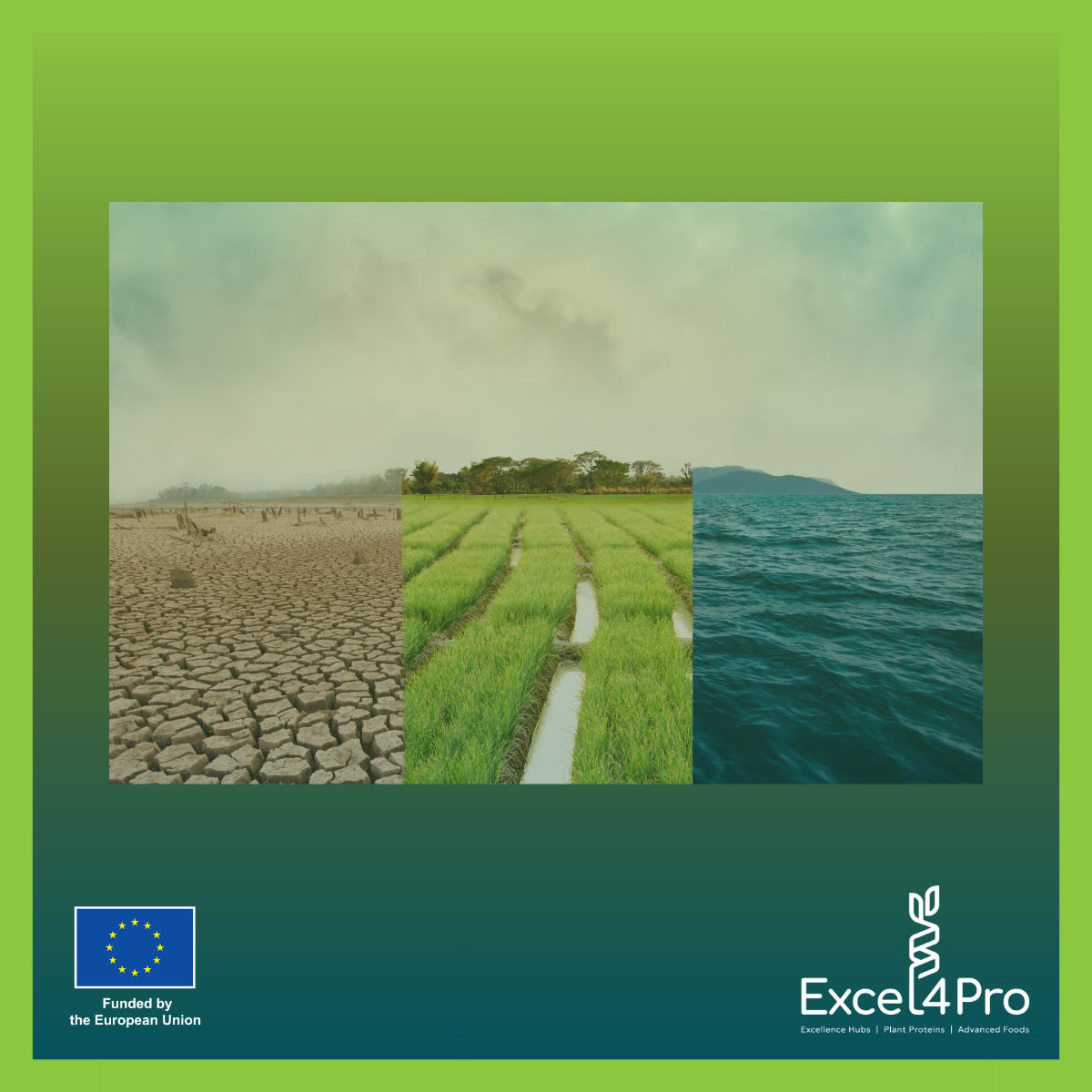 The environmental impact of alternative proteins